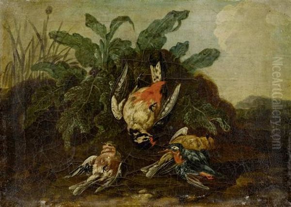 Forest Still Life - view 1