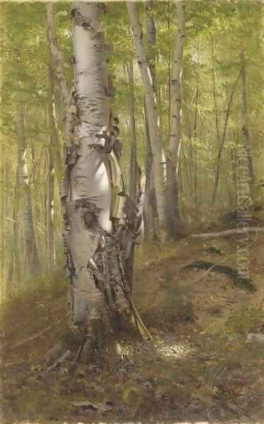 Silver Birches - view 1