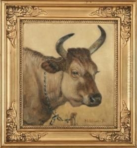 Cow In Chain by Niels Wiwel