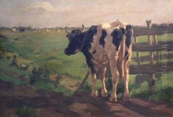 Cow Looking Out Over Pasture - view 1