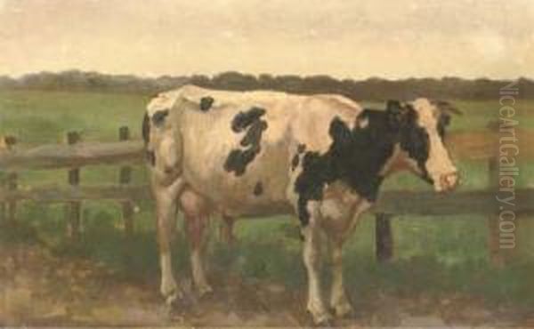 A Cow In A Meadow - view 1