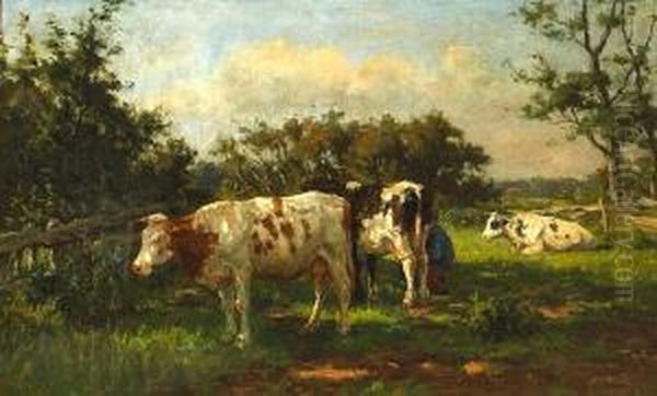 Cows Grazing In A Sun-dappled Meadow - view 1