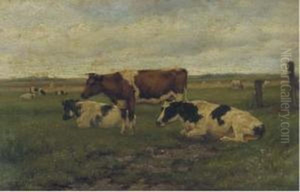 Cattle In A Meadow - view 1