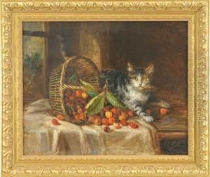 Gatto Con Cesto Di Ciliegie Rovesciate Sul Tavolo