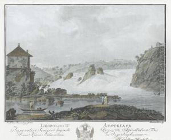 Hanc Rheni Cataractam In Pago Scaphusiano - view 1
