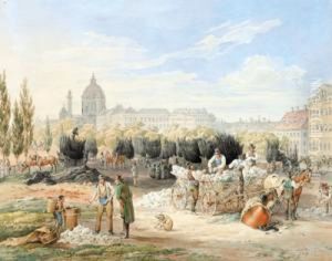 Der Kalkmarkt In Wien by Franz Wolf