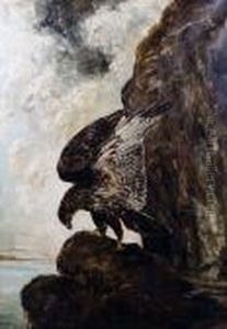 An Eagle In A Rocky Landscape An Eagle In A Rocky Landscape