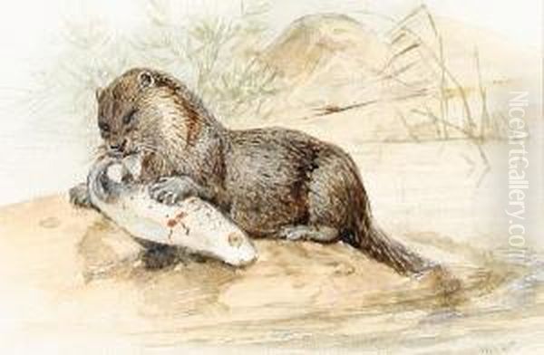 An Otter With A Salmon - view 1