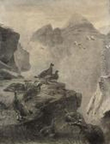 Ptarmigan In Their Higland Retreat - view 1