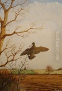Fish - Hawk by David Knightley Wolfe-Murray