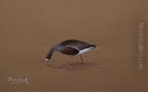 White Fronted Goose 'fish Hawke' by David Knightley Wolfe-Murray