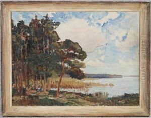 Treed Lake Landscape by Anna Wolkenhauer