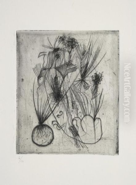 Suite De 32 Remarquables Gravures Originales - view 1