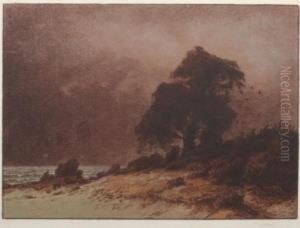 Sturmflut An Der Nordsee by Anton, Toni Wolter