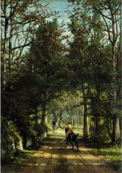 Cantering Through Woodland - view 1
