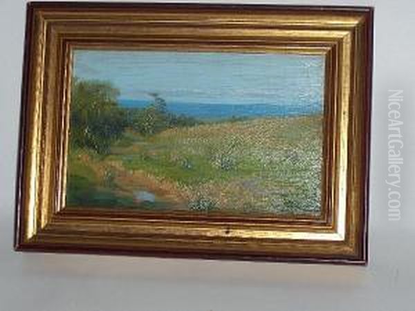 Marshy Ground - view 1