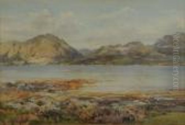 The Narrows - Loch Creran - view 1