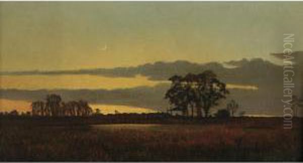 Moonlit Marshes - view 1