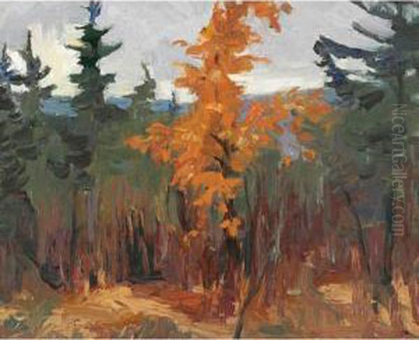 Brown Tree - view 1
