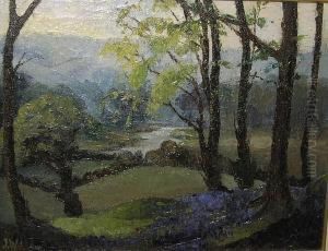 Bluebells In Wharfedale
