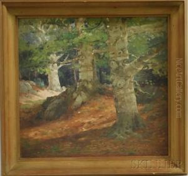 Sundappled Landscape With Three Large Trees. - view 1