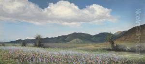 Lupine And Owl Clover