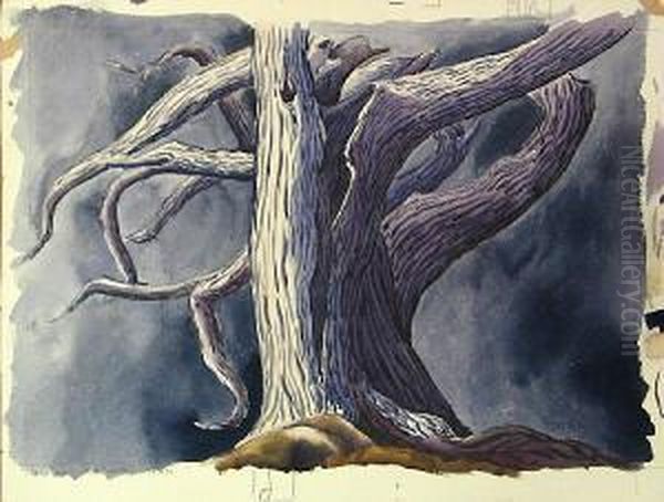 Cypress With Stormy Sky - view 1