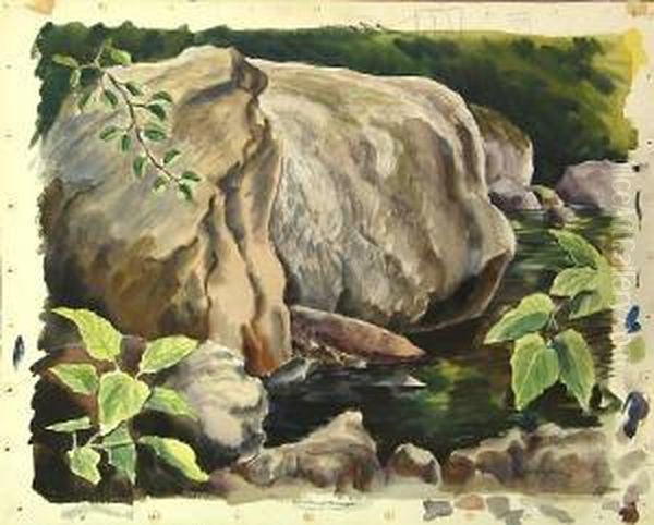 Tassajara Creek - view 1