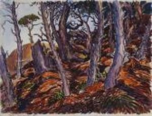 Thicket - Top Of Mountain