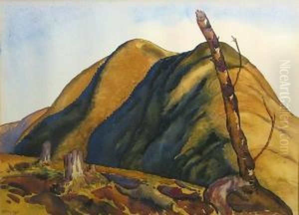 Shadowed Hills - view 1