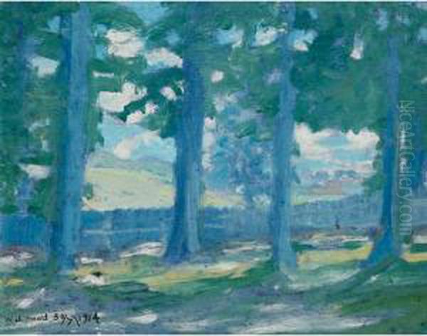 Summer Landscape - view 1