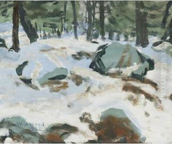 Snow-covered Path - view 1