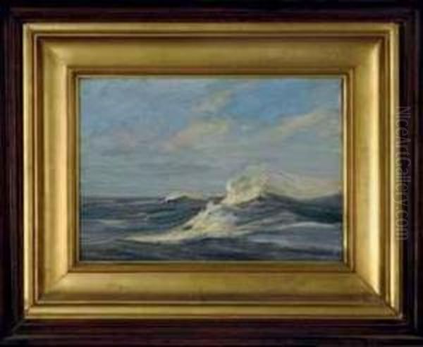 Waves Crashing - view 1