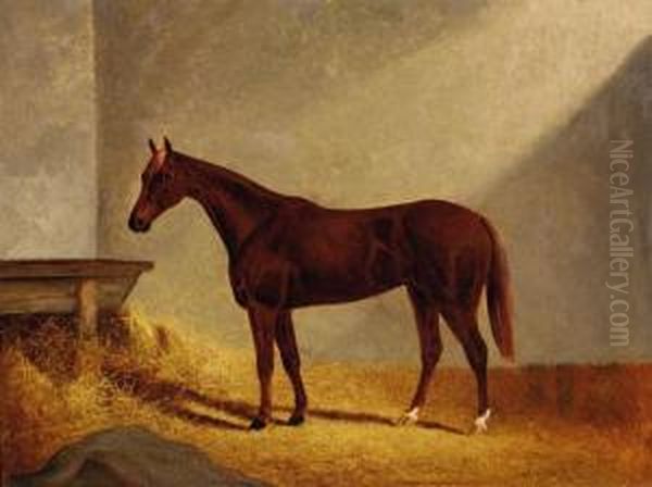 Horse In A Stable - view 1