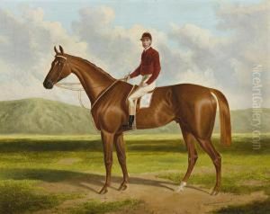 Falcon: Winner Of The1864 Adelaide Cup