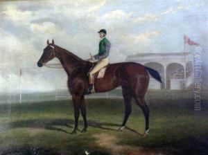 Galloping Billy & Jockey At Flemington Racecourse by Frederick, Woodhouse Snr.