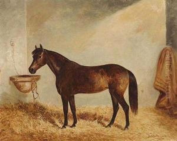 Mare In A Stable - view 1