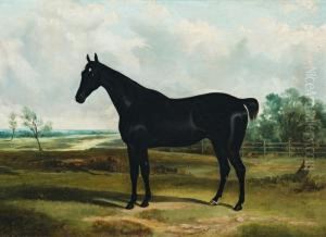 Bobby by Frederick, Woodhouse Snr.
