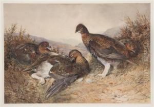 English Grouse by William Arnold Woodhouse