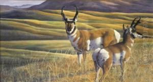 Elk In A Landscape by Sidney Woods