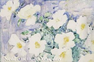 White Roses White Roses