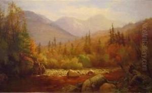 Mountain Riverbed