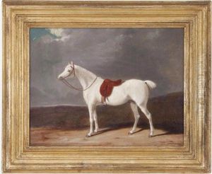 A Grey Hunter In A Landscape by Thomas Woodward
