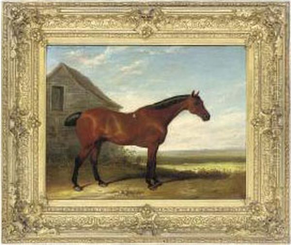 A Favourite Hunter - view 1