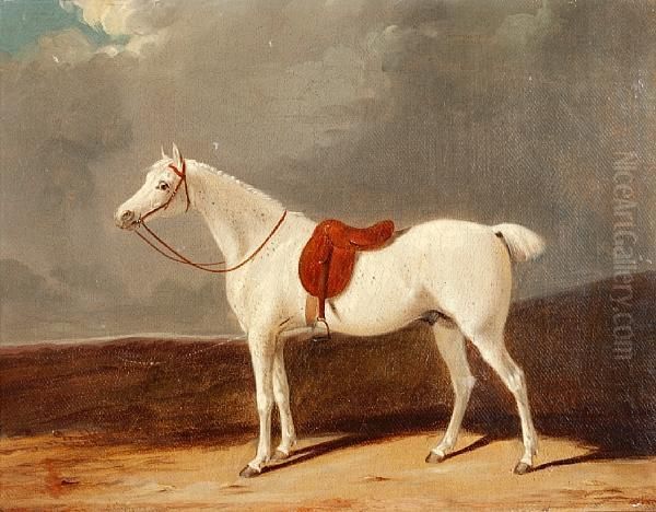 Grey Hunter In A Landscape - view 1