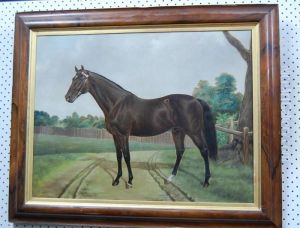 Portrait Of A Horse