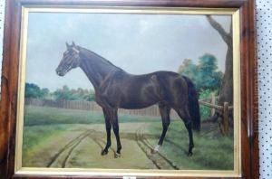Portrait Of A Horse