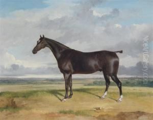 A Hunter In An Extensive Landscape