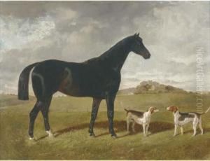 A Dark Brown Hunter With Two Hounds In A Landscape, With Brindlechurch, Lancashire, Beyond