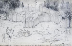 Taurangahika Pah by Alfred Woolnoth